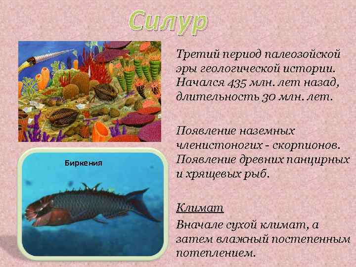 Силур Третий период палеозойской эры геологической истории. Начался 435 млн. лет назад, длительность 30