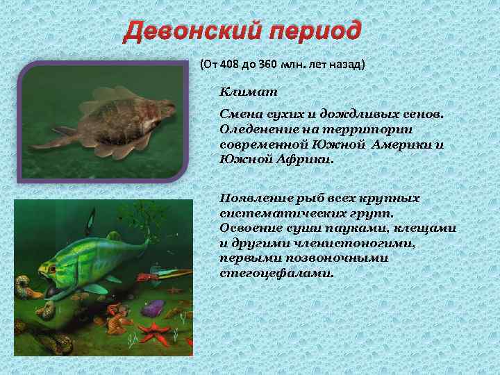 Девонский период (От 408 до 360 млн. лет назад) Климат Смена сухих и дождливых