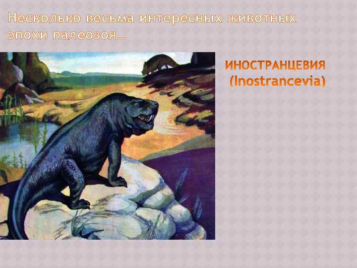 Несколько весьма интересных животных эпохи палеозоя… 