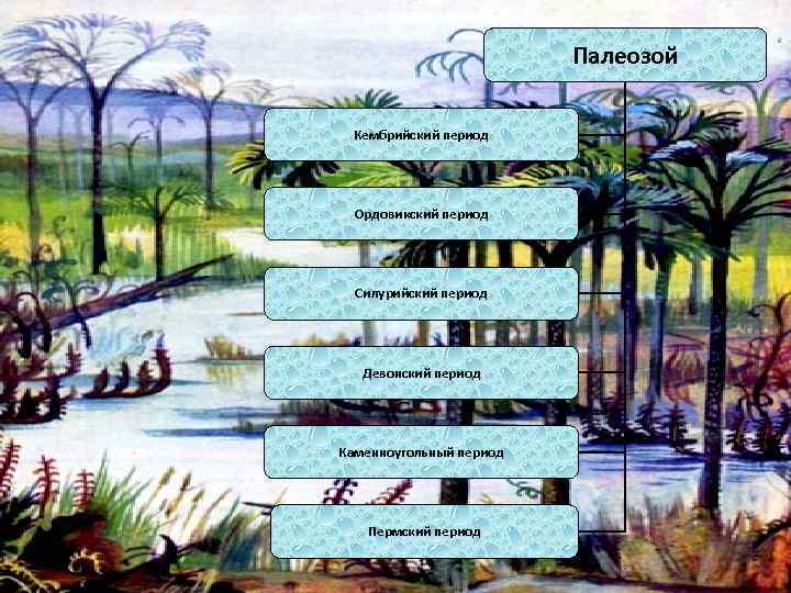 Палеозой Кембрийский период Ордовикский период Силурийский период Девонский период Каменноугольный период Пермский период 