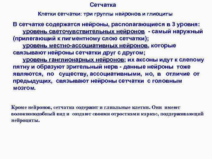 Сетчатка Клетки сетчатки: три группы нейронов и глиоциты В сетчатке содержатся нейроны, располагающиеся в