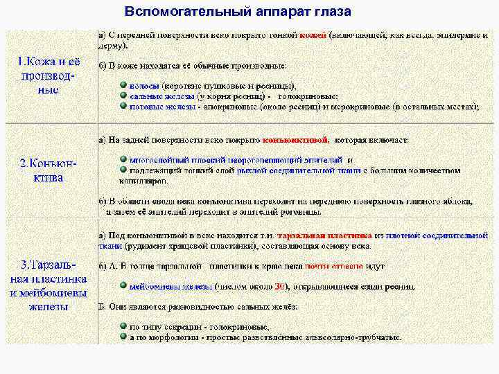 Вспомогательный аппарат глаза Веки 