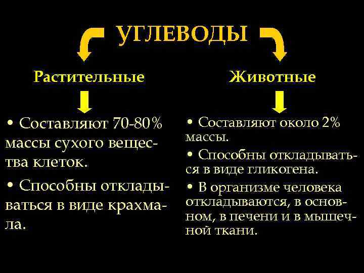 Растительные углеводы. Основные углеводы. Углеводы животных. Основные углеводы организма человека классификация. Углеводы откладываются в организме.