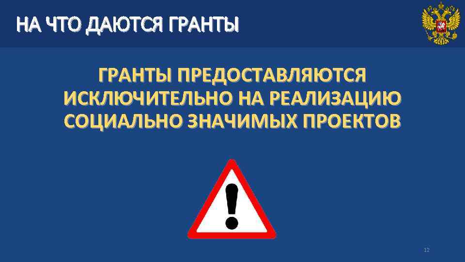 НА ЧТО ДАЮТСЯ ГРАНТЫ ПРЕДОСТАВЛЯЮТСЯ ИСКЛЮЧИТЕЛЬНО НА РЕАЛИЗАЦИЮ СОЦИАЛЬНО ЗНАЧИМЫХ ПРОЕКТОВ 12 