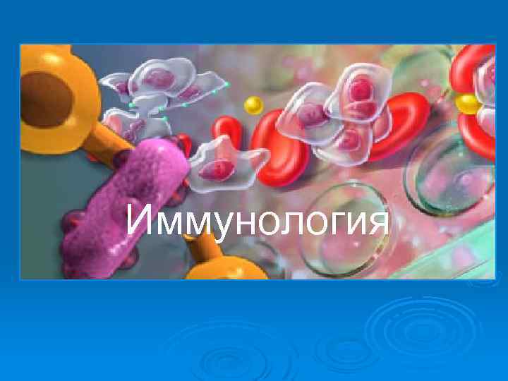 Иммунология 