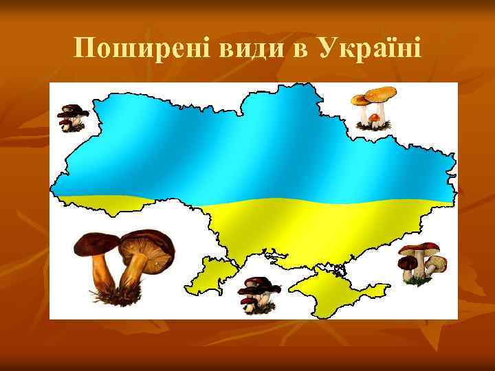Поширені види в Україні 