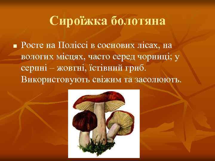 Сироїжка болотяна n Росте на Поліссі в соснових лісах, на вологих місцях, часто серед