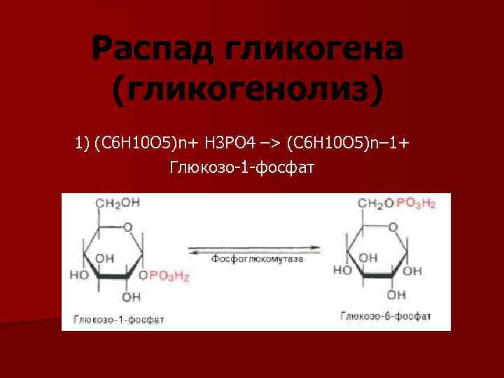 C 4 h 4 это. Гликоген в глюкозо 1 фосфат. C6h10o5 n. Гликогенолиз биохимия реакции. C6h10o4 карбоновая.