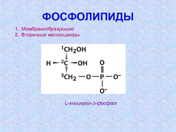 ФОСФОЛИПИДЫ 1. Мембранообразующие 2. Вторичные мессенджеры L-глицерол-3 -фосфат 