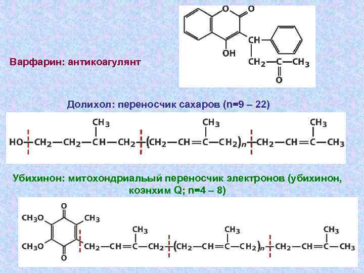 Варфарин: антикоагулянт Долихол: переносчик сахаров (n=9 – 22) Убихинон: митохондриальый переносчик электронов (убихинон, коэнхим