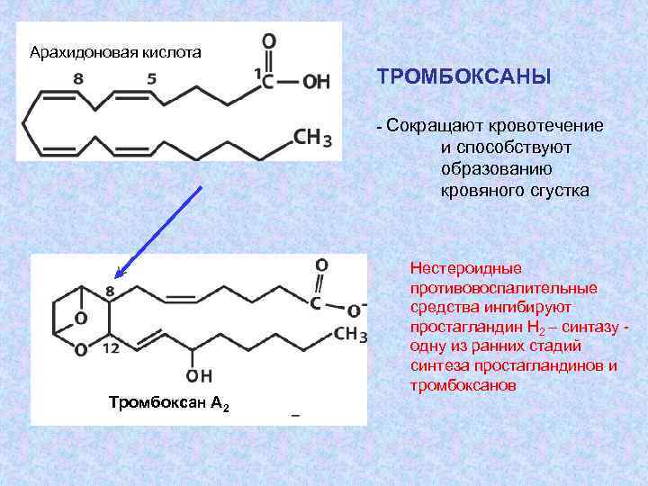 Арахидоновая кислота ТРОМБОКСАНЫ - Сокращают кровотечение и способствуют образованию кровяного сгустка Тромбоксан А 2