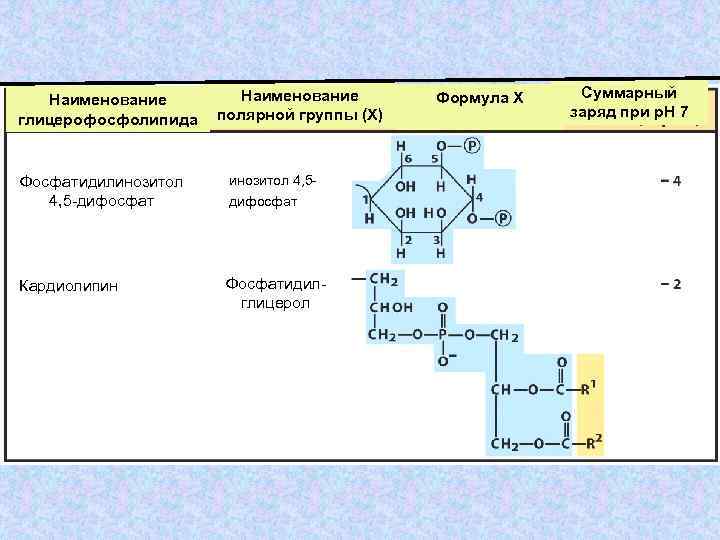 Наименование глицерофосфолипида Наименование полярной группы (Х) Фосфатидилинозитол 4, 5 -дифосфат инозитол 4, 5 дифосфат