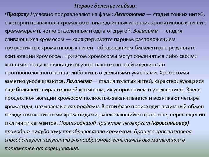 Первое деление мейоза. • Профазу I условно подразделяют на фазы: Лептонема — стадия тонких