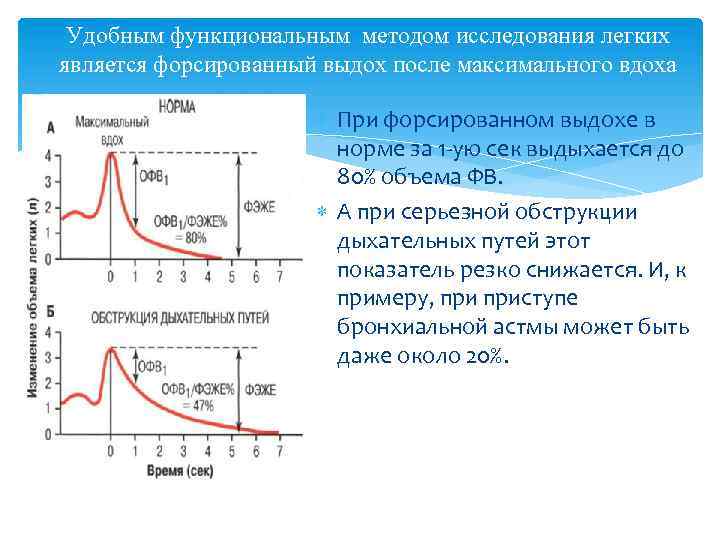 Удобным функциональным методом исследования легких является форсированный выдох после максимального вдоха При форсированном выдохе