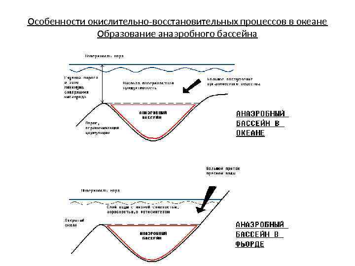 Восстановительные процессы обеспечивает. Окислительно восстановительные процессы в природных водоемах.