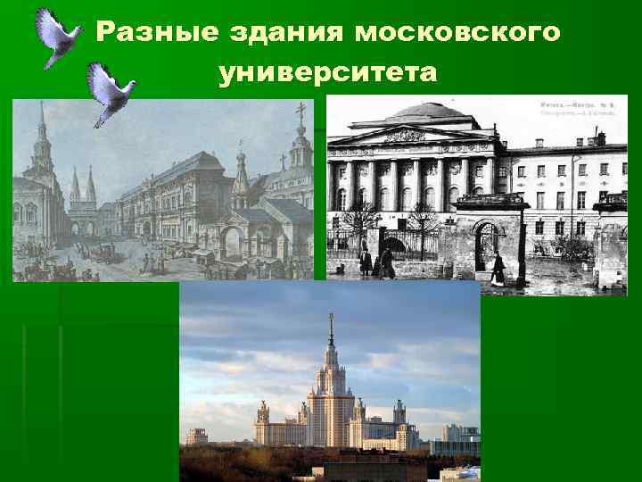 Разные здания московского университета 