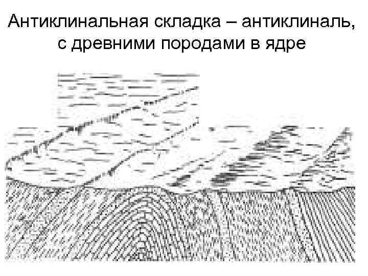 Антиклинальная складка – антиклиналь, с древними породами в ядре 