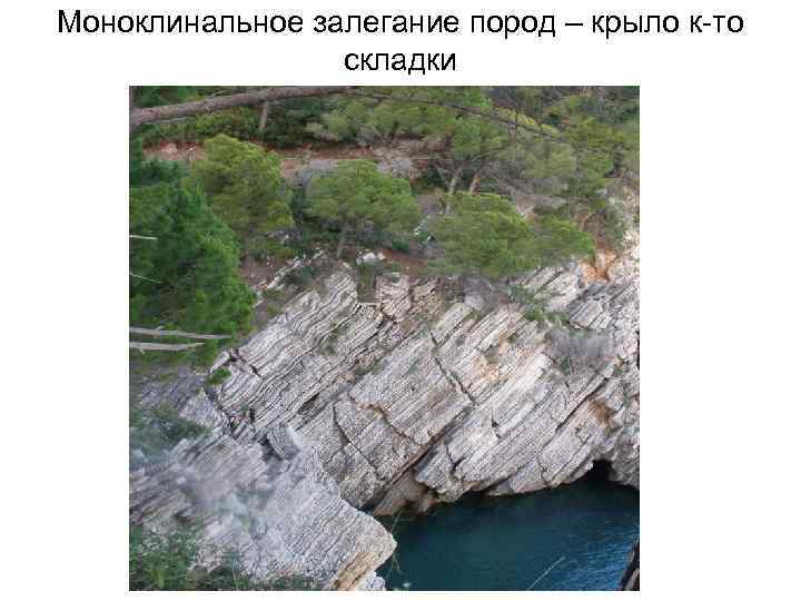 Моноклинальное залегание пород – крыло к-то складки 