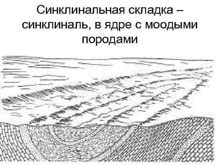 Синклинальная складка – синклиналь, в ядре с моодыми породами 