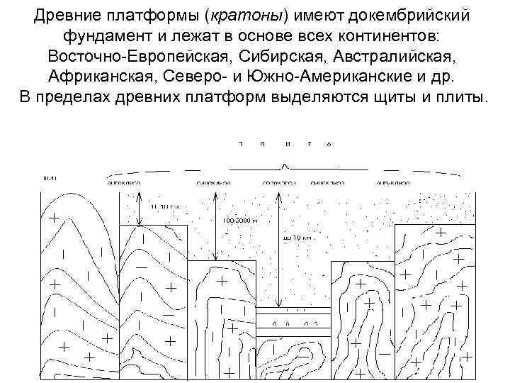 Древние платформы (кратоны) имеют докембрийский фундамент и лежат в основе всех континентов: Восточно-Европейская, Сибирская,