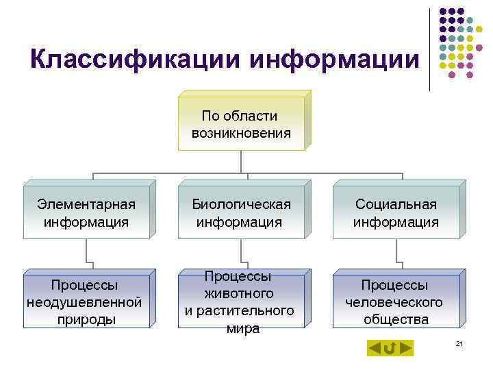 Классификации информации По области возникновения Элементарная Биологическая Социальная Классификации информации По области возникновения Элементарная Биологическая Социальная