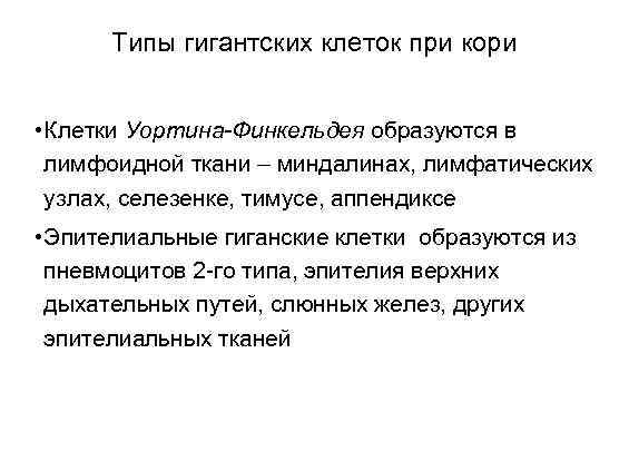 Типы гигантских клеток при кори • Клетки Уортина-Финкельдея образуются в лимфоидной ткани – миндалинах,