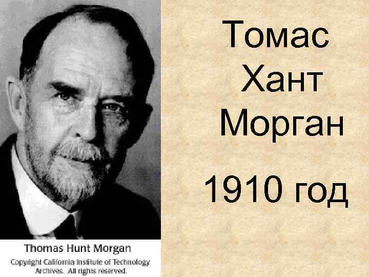 Томас морган презентация