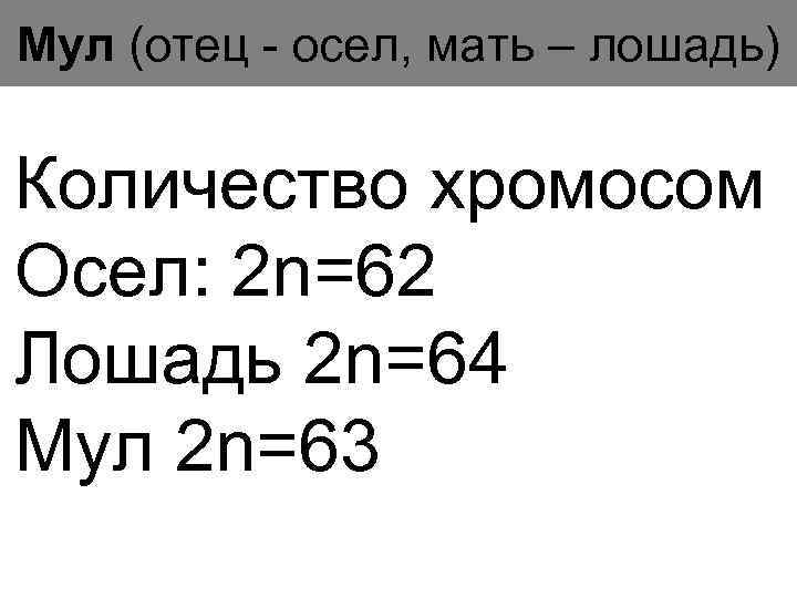 Мул (отец - осел, мать – лошадь) Количество хромосом Осел: 2 n=62 Лошадь 2