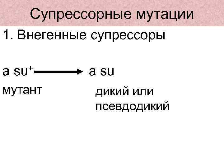 Супрессорные мутации 1. Внегенные супрессоры а su+ мутант а su дикий или псевдодикий 