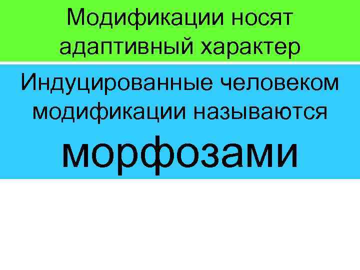 Модификации носят адаптивный характер Индуцированные человеком модификации называются морфозами 