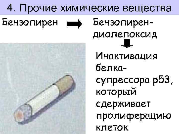 4. Прочие химические вещества Бензопирендиолепоксид Инактивация белкасупрессора р53, который сдерживает пролиферацию клеток 
