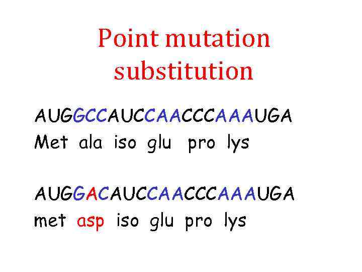 Point mutation substitution AUGGCCAUCCAACCCAAAUGA Met ala iso glu pro lys AUGGACAUCCAACCCAAAUGA met asp iso