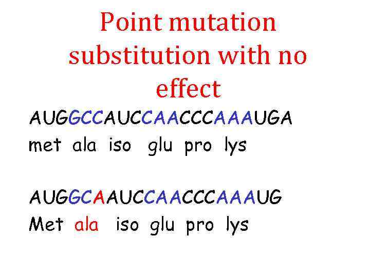 Point mutation substitution with no effect AUGGCCAUCCAACCCAAAUGA met ala iso glu pro lys AUGGCAAUCCAACCCAAAUG