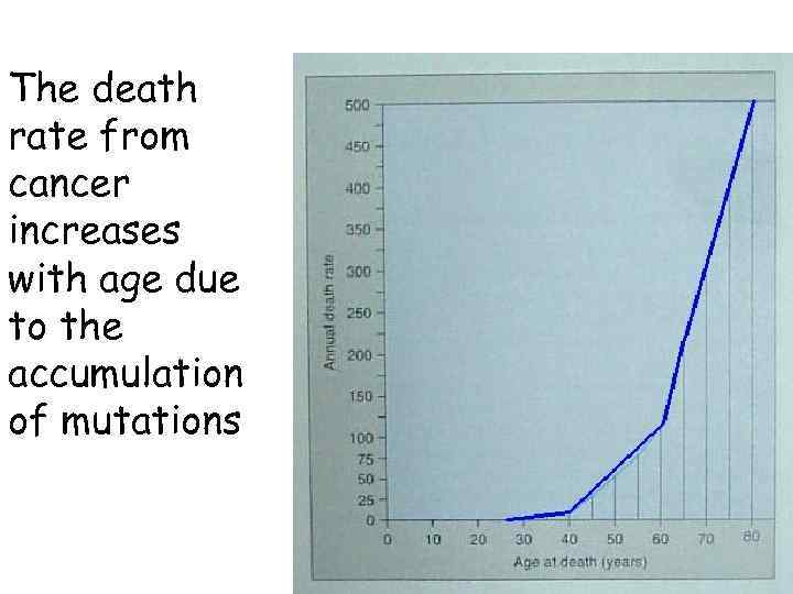 The death rate from cancer increases with age due to the accumulation of mutations
