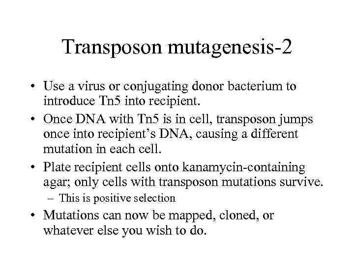 Transposon mutagenesis-2 • Use a virus or conjugating donor bacterium to introduce Tn 5