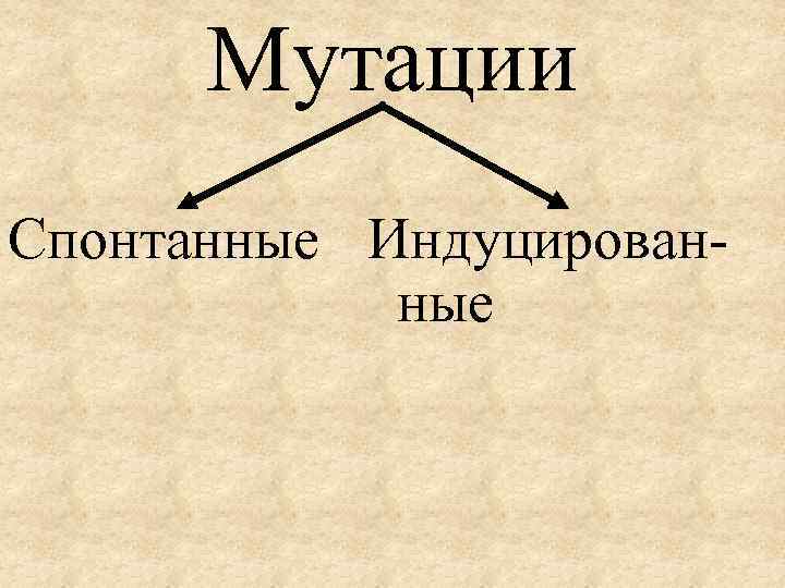 Мутации Спонтанные Индуцированные 