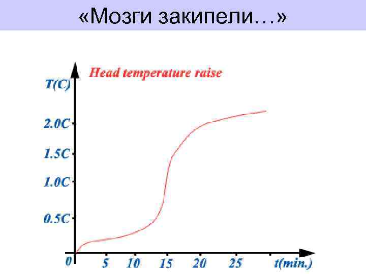  «Мозги закипели…» 