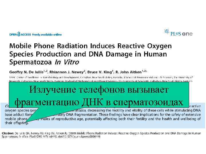 Излучение телефонов вызывает фрагментацию ДНК в сперматозоидах 