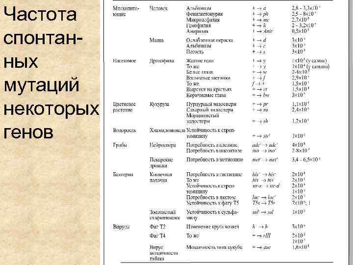 Частота спонтанных мутаций некоторых генов 