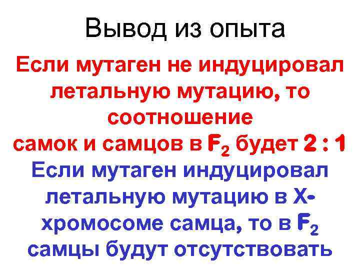 Вывод из опыта Если мутаген не индуцировал летальную мутацию, то соотношение самок и самцов
