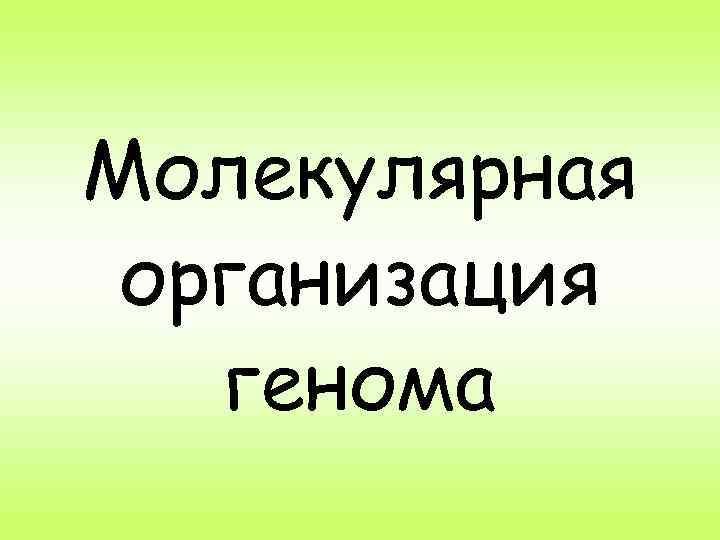 Молекулярная организация генома 