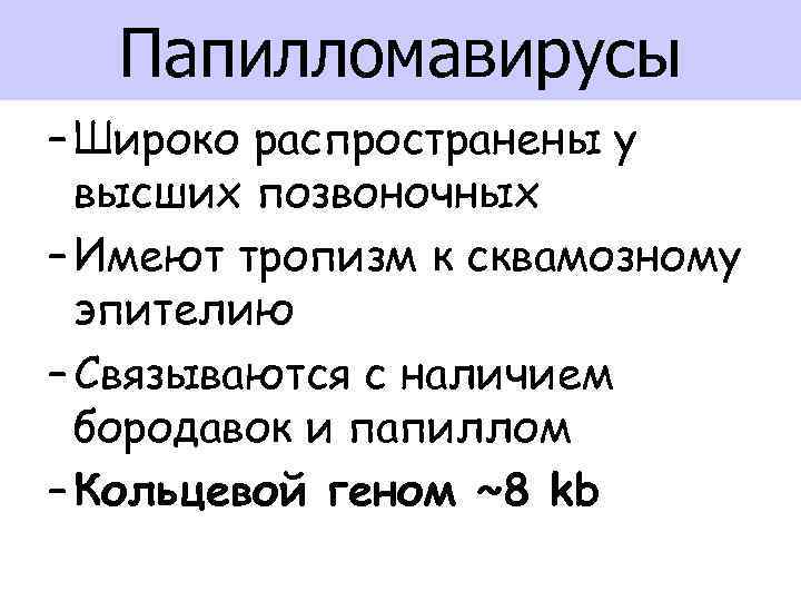 Папилломавирусы – Широко распространены у высших позвоночных – Имеют тропизм к сквамозному эпителию –