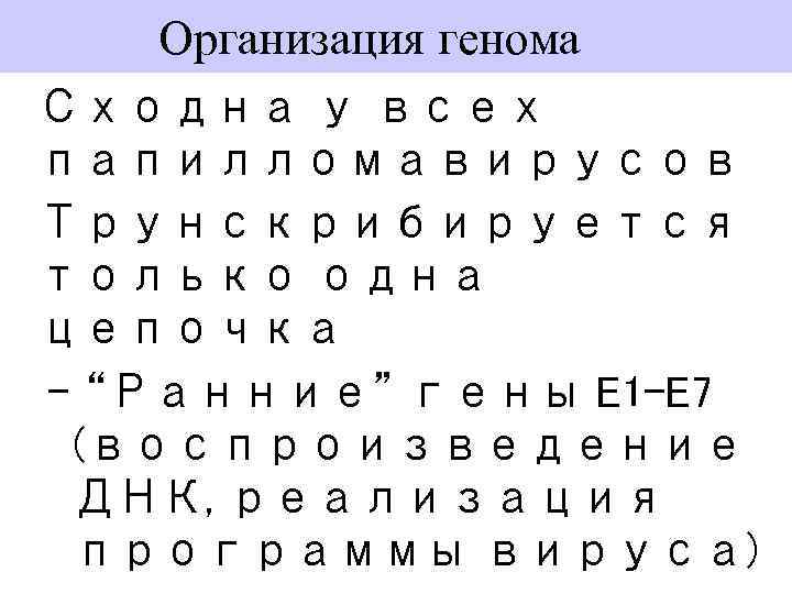 Организация генома Сходна у всех папилломавирусов Трунскрибируется только одна цепочка – “Ранние” гены E