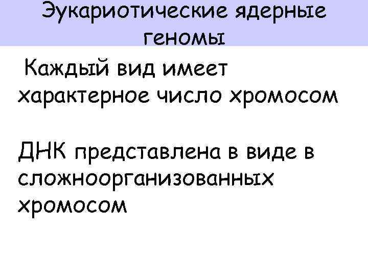 Эукариотические ядерные геномы Каждый вид имеет характерное число хромосом ДНК представлена в виде в