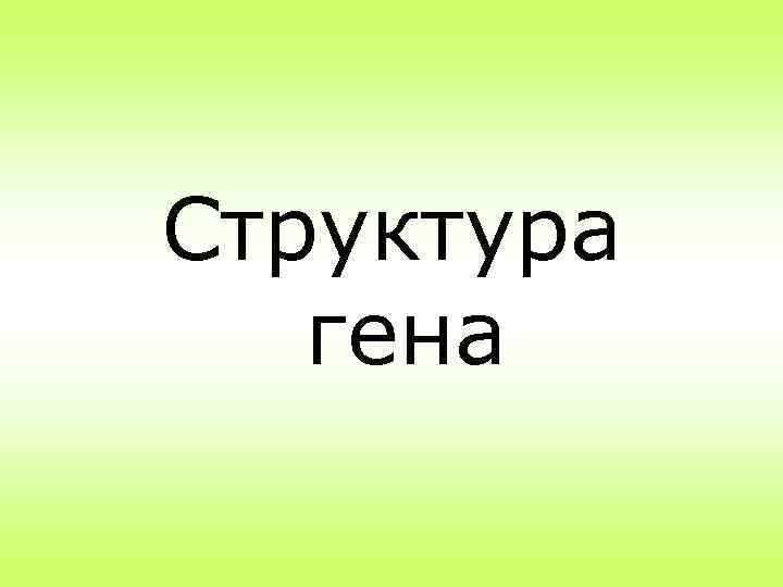 Структура гена 