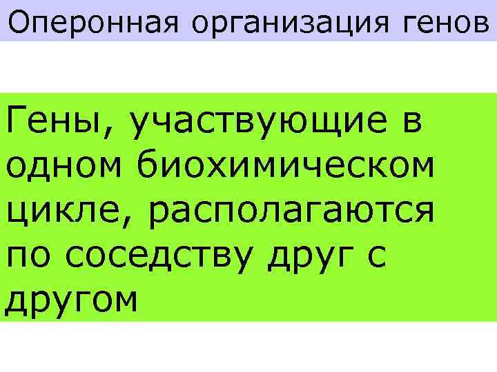 Оперонная организация генов Гены, участвующие в одном биохимическом цикле, располагаются по соседству друг с