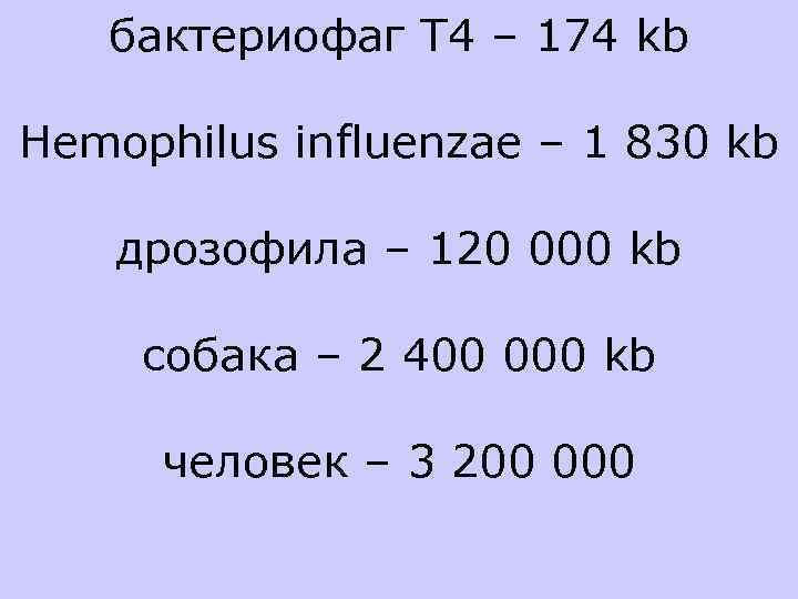 бактериофаг Т 4 – 174 kb Hemophilus influenzae – 1 830 kb дрозофила –