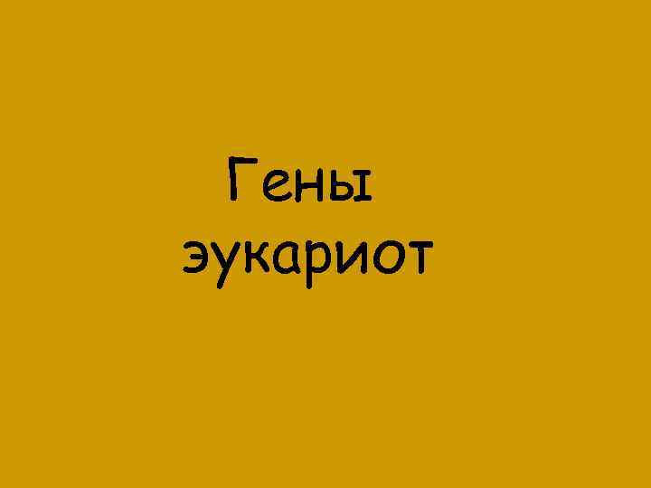 Гены эукариот 