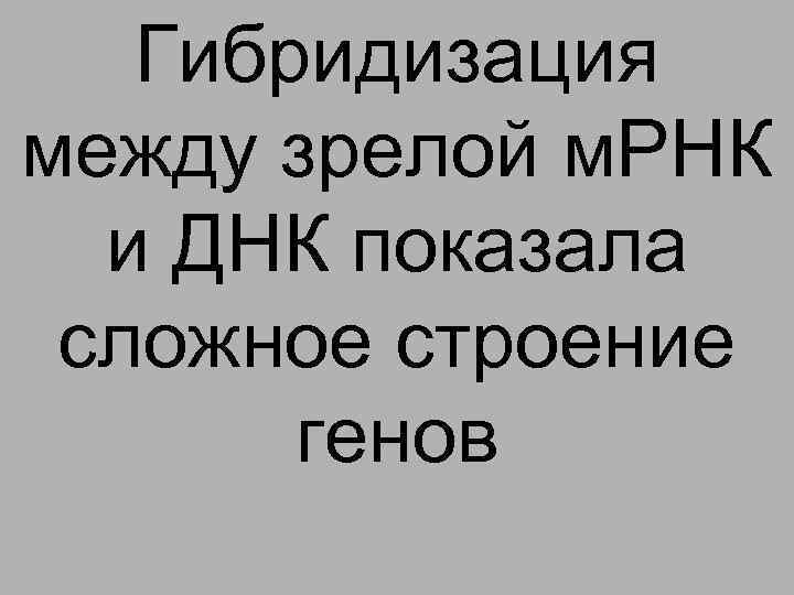 Гибридизация между зрелой м. РНК и ДНК показала сложное строение генов 