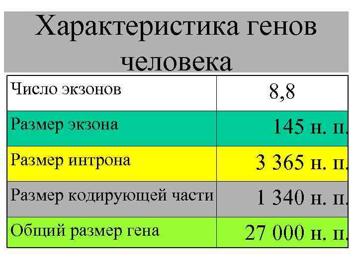 Геном человека содержит